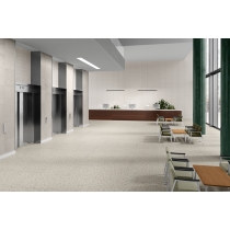 LIMESTONE - 12X24, IVORY, HONED